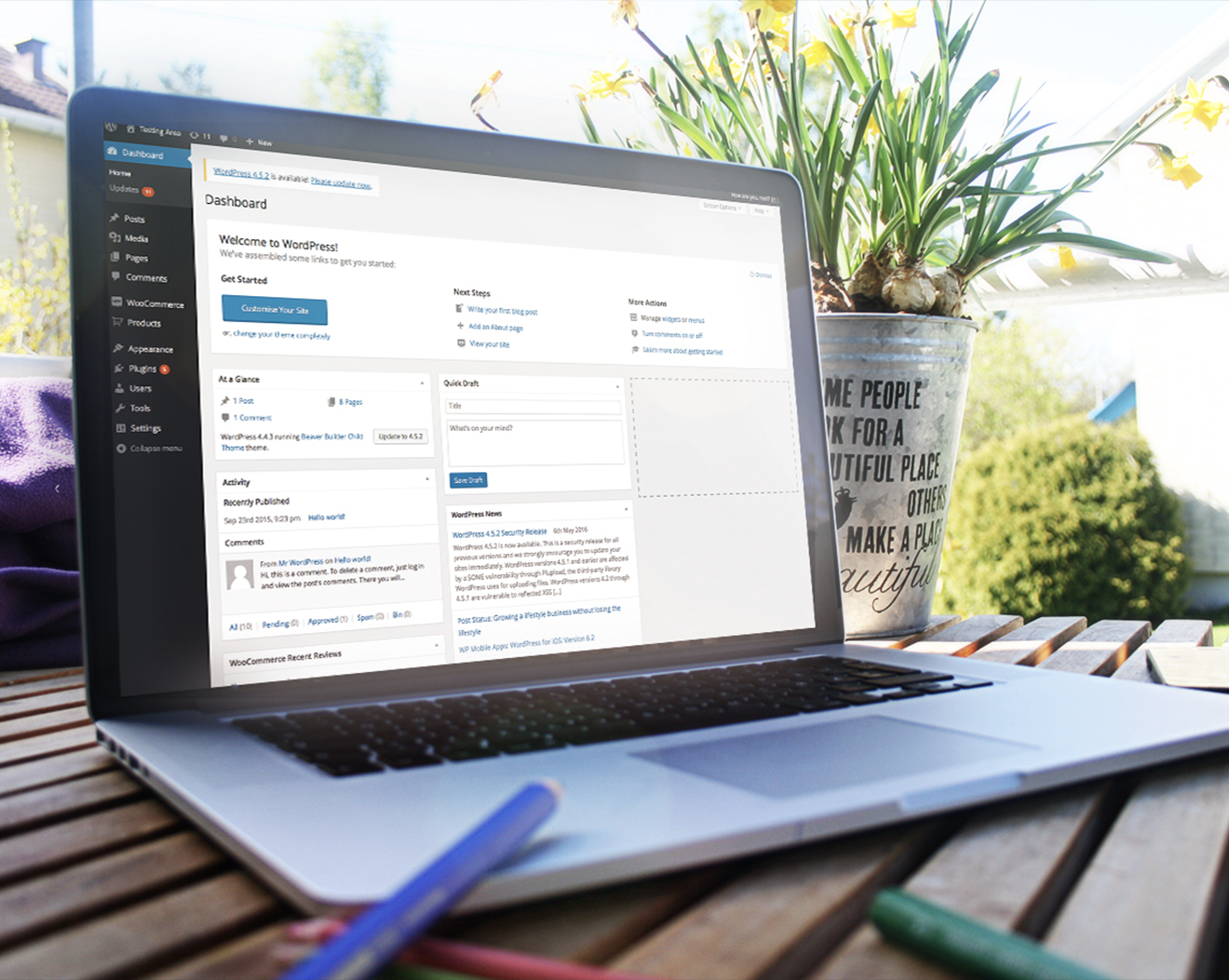 WordPress Development